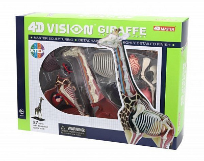 Объемная анатомическая модель 4D Master Жираф FM-622011