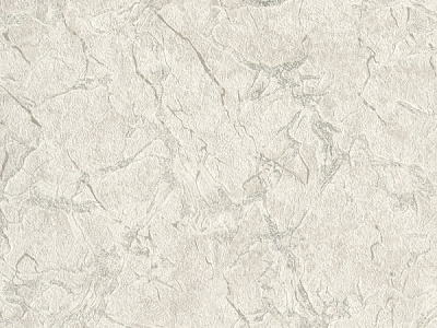 Обои виниловые на бумажной основе Славянские обои Expromt Августина 9108-04 0,53x10,06 м 