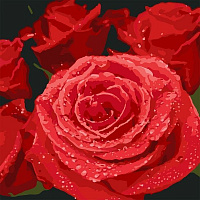 Картина за номерами Червонi троянди Ідейка 