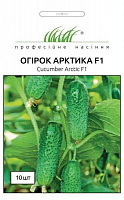 Насіння Професійне насіння огірок Арктика F1 для маринування 10 шт. (4820176692849)