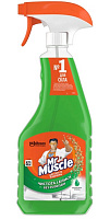 Засіб миючий для скла та дзеркал Mr.Muscle Професіонал 0,5л