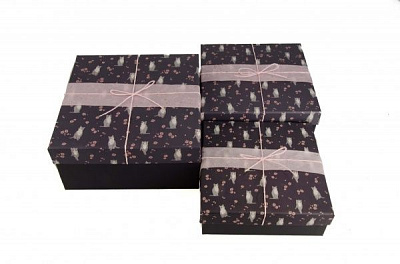 Коробка подарункова 22х22х9 04037-48-2