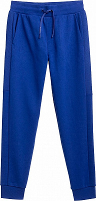 Штани 4F D4L21-SPMD205-31S р. 2XL темно-синій