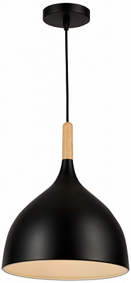 Світильник підвісний Hopfen TN 1 PD L BK 1x40 Вт Е27 чорний