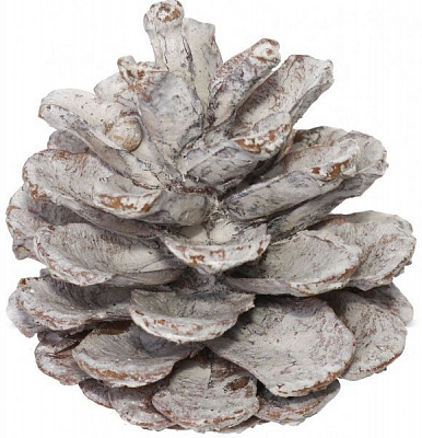 Набір шишок натуральні білі E5156411-W1G 15 шт./уп.