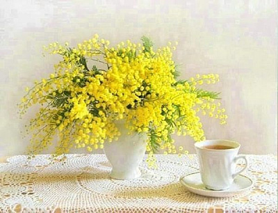 Набор для творчества со стразами на подрамнике Мимозы 40x50 см Діамантові ручки 