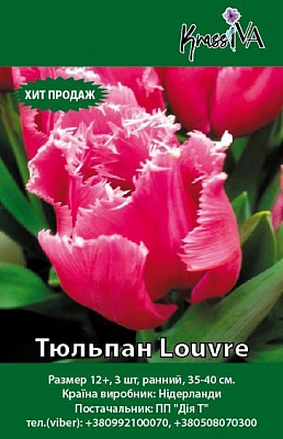 Цибулина Тюльпан Louvre 3 шт.