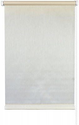 Ролета міні Delfa Натур 48x170 см світло-бежева