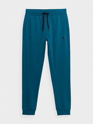 Штани 4F TROUSERS CAS M223 4FSS23TTROM223-32S р. 2XL синій