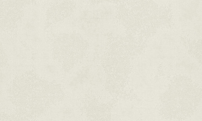 Шпалери вінілові на флізеліновій основі Bravo 81187BR21 1,06x10,05 м