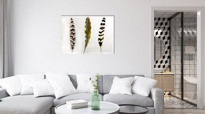 Картина Перья коричневые AQUA-8 50x70 см ЕО172 