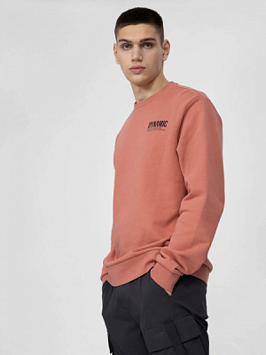 Світшот 4F H4L22-BLM023-65S р. 2XL бежевий