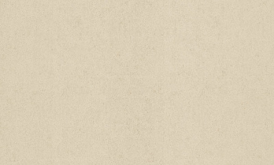 Шпалери вінілові на флізеліновій основі ASSORTI 81188AS21 1,06x10,05 м