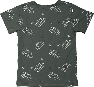 Футболка для мальчиков Фламинго р.146 хаки 864-124 