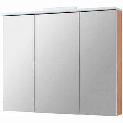 Зеркальный шкаф Сансервіс Арболь 65