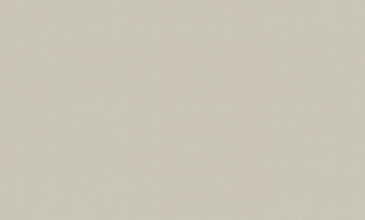 Шпалери вінілові на флізеліновій основі WallCOLOR W 150 C 08 1,06x10,05 м