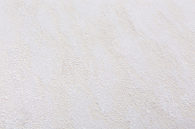 Шпалери зі спіненого вінілу Vinil Rains ДХС-1588/5 1,06x10,05 м