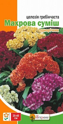 Семена Яскрава целозия гребенчатая Махровая смесь 0,3 г (4823069806163)