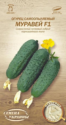 Насіння Семена Украины огірок самозапильний Мураха F1 596900 0,25г