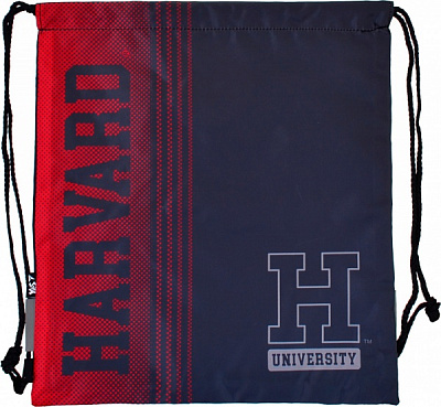 Сумка для обуви SB-10 Harvard YES