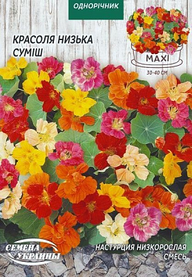 Насіння Семена Украины красоля низькоросла суміш 10 г