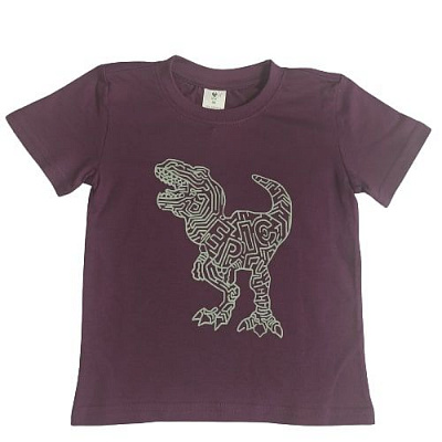 Футболка для мальчика Роза 200251 р.128 бордовый 