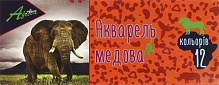 Акварель медова Africa 12 кольорів E60109 Economix