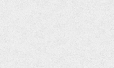 Шпалери вінілові на флізеліновій основі MEGAPOLIS 9173-00 1,06x10,05 м