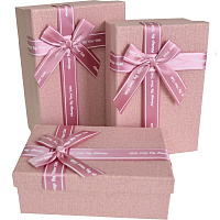 Коробка подарункова Рожева 21х14х8 см 1103517302