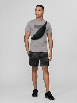 Шорти 4F D4L21-SKMD500-23A р. L сірий