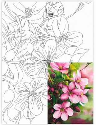 Холст на картоне с контуром Натюрморт №28 Rosa Start 