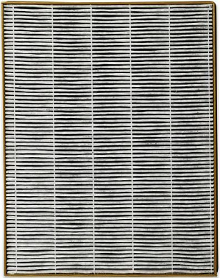 Фильтр TOSHIBA CAF-H70 (W) для очистителя воздуха CAF X116XPL 