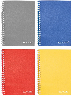 Блокнот А5 спіраль пластикова обкладенка 80 аркушів клітинка E20220 Economix