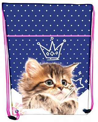 Сумка для обуви CLASS Kitten 46x33 см 2124C