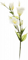 Рослина штучна Лізіантус 1538 CR