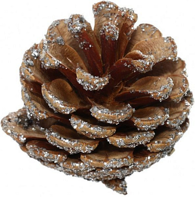 Набор шишек натуральные серебристые E5156411-7S  