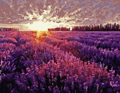 Картина за номерами Лавандова краса bk_1082 BookOpt