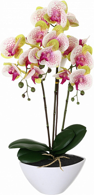 Квітка штучна Орхідея Real Touch біла з рожевою сердцевинкою в гощику 51 см