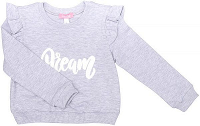 Реглан Sasha р.122 сірий 4581