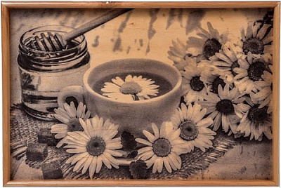 Поднос на складных ножках мини Ромашки 38,5x26x4 см