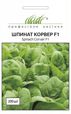 Семена Професійне насіння шпинат Корвер F1 200 шт. (4820176694089)