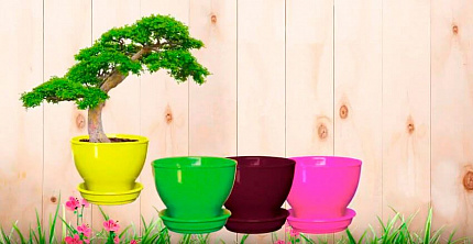 Як обрати горщик для квітів?