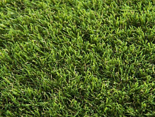 Ковролін TOSCANA 30 green 4 м