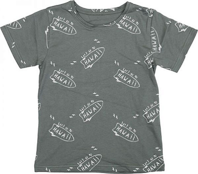 Футболка для мальчиков Фламинго р.122 хаки 864-124 