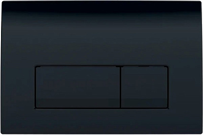 Кнопка смыва Geberit Delta50 Чорний RAL 9005 (115.119.DW.1)