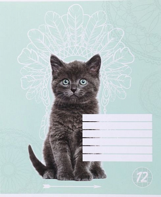 Зошит шкільний Cat 12 аркушів клітинка 2 Мрії збуваються