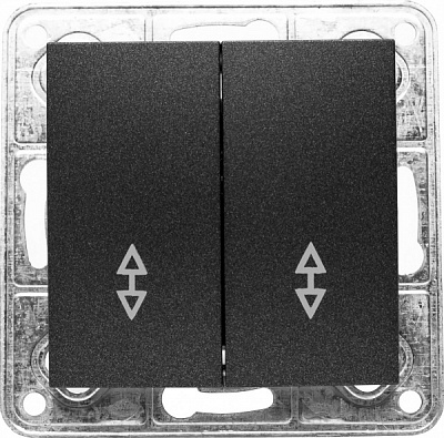 Выключатель проходной двухклавишный LXL Tesla TLXL3532A без подсветки графит 3532A graphite