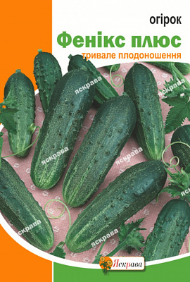 Насіння Яскрава огірок ФЕНІКС ПЛЮС