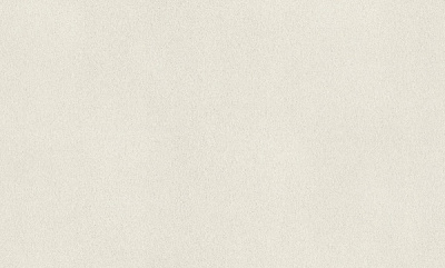 Шпалери вінілові на флізеліновій основі RASCH Fiesta 973006 1,06x10,05 м