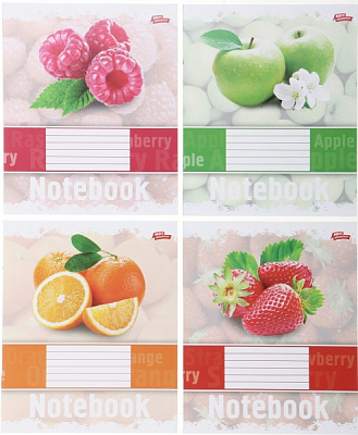 Комплект тетрадей 24 листа в линию 16 шт. Мечты сбываются